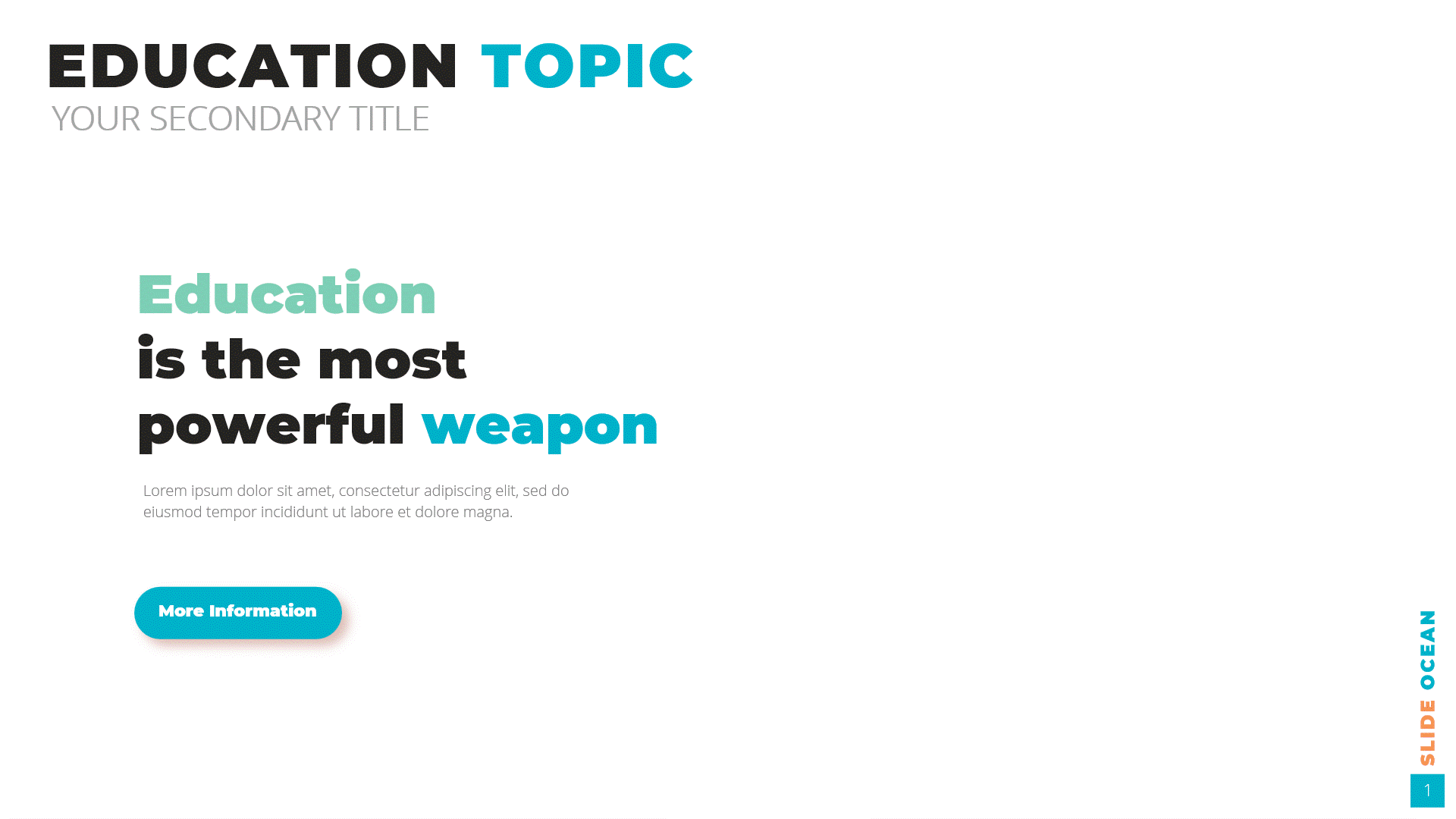 Education Infographic animation