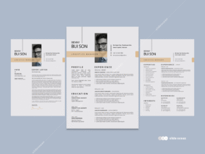 Mẫu CV - Resume 16