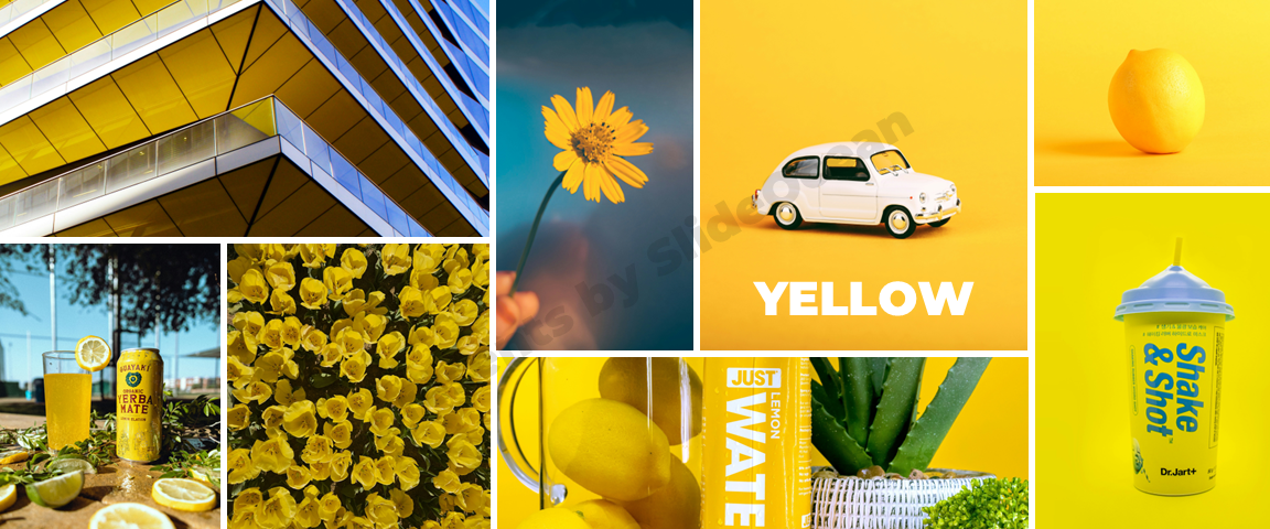 Tâm Lý Học Màu Sắc Trong Thuyết Trình - Vàng - Yellow