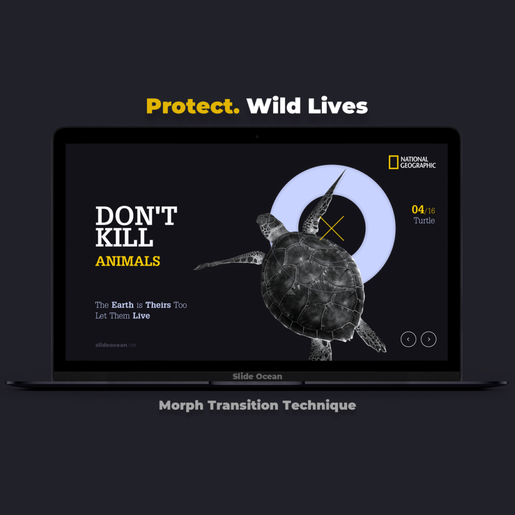 Protect WildLife - Bảo vệ sự sống hoang dã - Cover