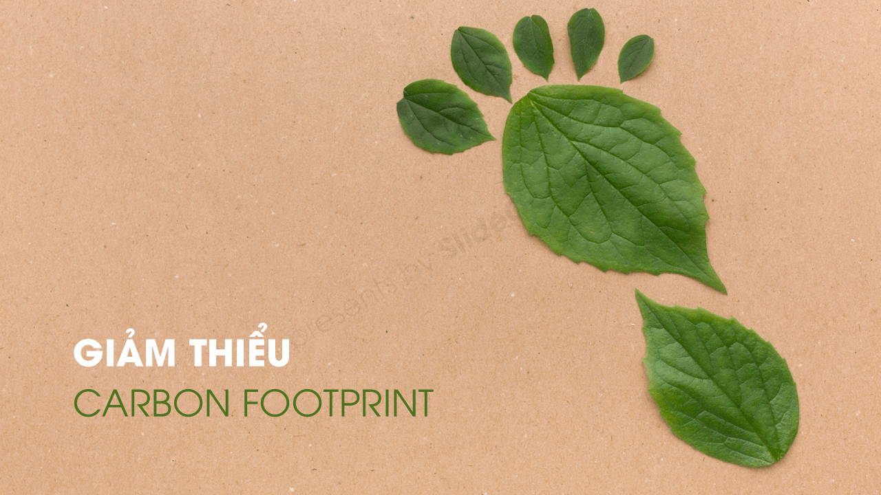 Sustainable Presentation Design: Thiết Kế Thuyết Trình Bền Vững Cho Tương Lai Xanh - Giảm thiểu Carbon Footprint