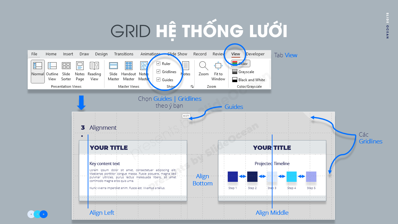 Grid và Alignment - Nền Tảng Của Thiết Kế Slide Đẹp - Hệ thống lưới